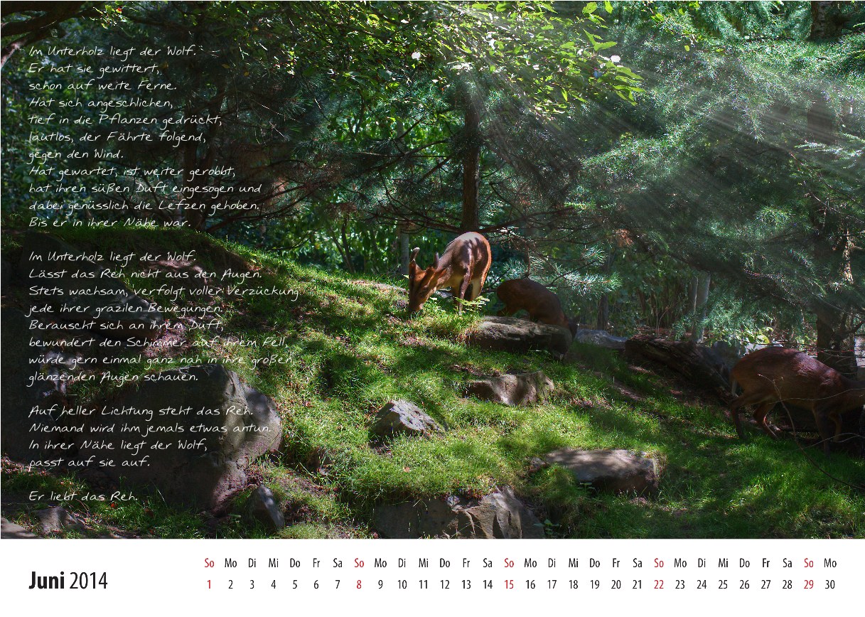 Kalender_2014_06